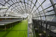 Research green house University, Riedberg - StoPox KU 601