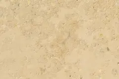 Sto-Fossil Bavaria Yellow - Natural stone slabs/tiles